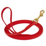 Biothane Leash 10 ft w/ Brass Hardware_3
