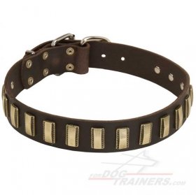 Quality Leather Bullmastiff Collar with Vertical Brass Plates