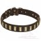 Quality Leather Bullmastiff Collar with Vertical Brass Plates