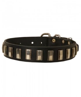 Elegant Design Leather Collar for Bullmastiff