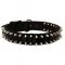 Black Nylon Spiked Bullmastiff Dog Collar