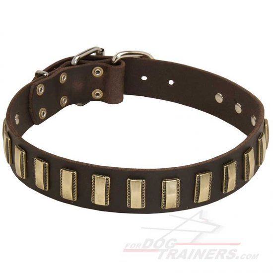 Quality Leather Bullmastiff Collar with Vertical Brass Plates