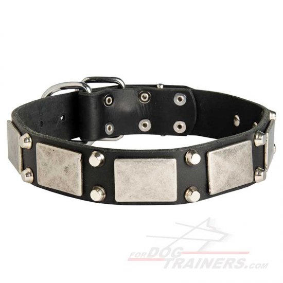 Stylish Leather Bullmastiff Collar with Massive Decorations