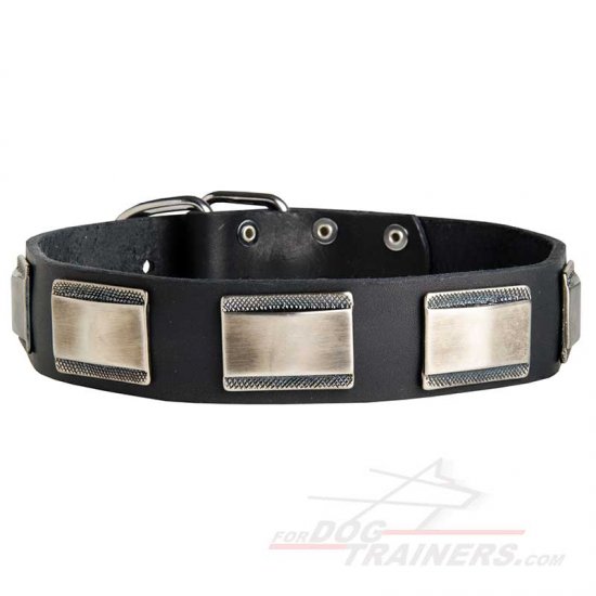 Royal Leather Bullmastiff Collar with Vintage Decoration