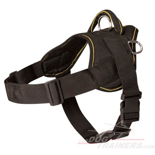 Multipurpose Nylon Bullmastiff Harness