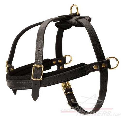 Tracking/Pulling/Walking Leather Dog Harness For Bullmastiff