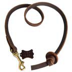 Pocket Leather Dog Leash for Bullmastiff Training