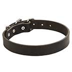 High Quality Leather Bullmastiff Collar
