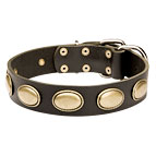 Decorated Leather Bullmastiff Collar with Oval Plates