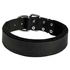Comfortable Felt Padded Leather Bullmastiff Collar