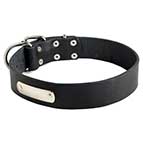 Classy Leather Bullmastiff Collar with ID Tag