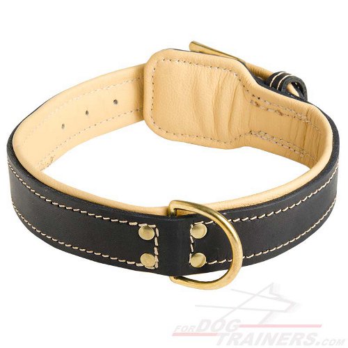 Royal Nappa Padded Leather Bullmastiff Collar