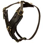 Training and Walking Leather Bullmastiff Harness