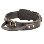 Comfortable Leather Bullmastiff Collar with Handle