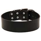 Classy Extra Wide Leather Collar for Bullmastiff