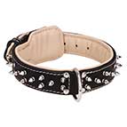 Spiked Leather Bullmastiff Collar with Soft Nappa Padding