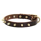 Stylish Leather Bullmastiff Collar with Brass Spikes