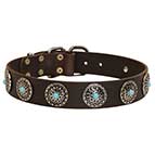 Classy Leather Bullmastif Collar