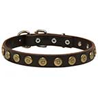 Elegant leather Bullmastiff collar with doted circles