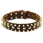 Leather Bullmastiff Collar with Nickel Studs and Brass Spikes