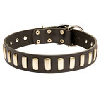 Gorgeous Wide Bullmastiff Leather Collar with Plates
