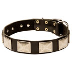 Leather Bullmastiff Collar with Aniqued Plates