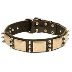 Extraordinary Leather Bullmastiff Collar