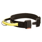 Nylon Bullmastiff Collar with Quick Release Buckle