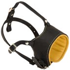 Royal Nappa Leather Bullmastiff Dog Muzzle