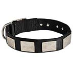 Practical Nylon Bullmastiff Collar with Plates