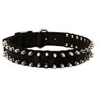 Black Nylon Spiked Bullmastiff Dog Collar