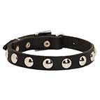 Classy Leather Bullmastiff Collar with Half Ball Studs