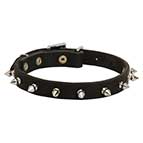 Handcrafted Leather Bullmastiff Collar with Spikes