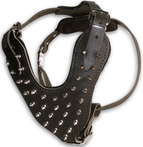 Spiked Leather Bullmastiff Harness for Walking in Style