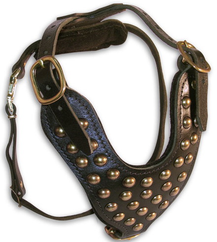 Studded Design Leather Bullmastiff Harness
