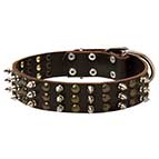 Trendy Leather Bullmastiff Collar with studs and spikes
