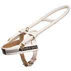 White Leather Bullmastiff Harness for Guide Dogs