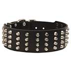 2 2/5 inches extra wide Leather Studded Bullmastiff Dog Collar