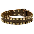 Leather Bullmastiff collar - Fashion Exclusive Design - "Caterpillar"