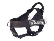 SAR Lightweight Nylon Bullmastiff Harness for Working Dogs