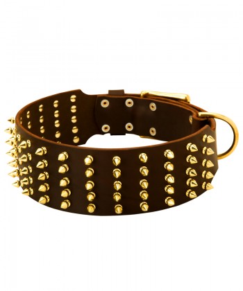 Extra Wide Bullmastiff Collar with Brass Spikes