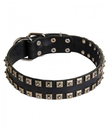 Fantastic Leather Bullmastiff Collar with Square Dotted Studs