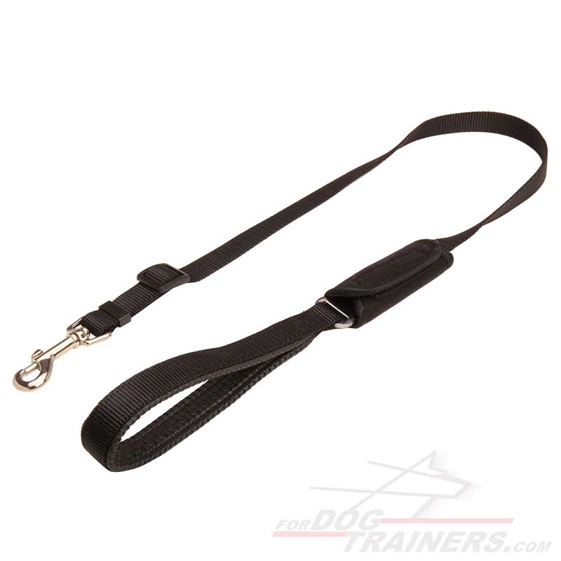 Car Trip Bullmastiff Leash