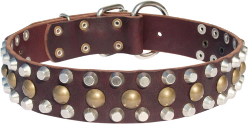 Leather Bullmastiff Collar with Pyramids and Studs