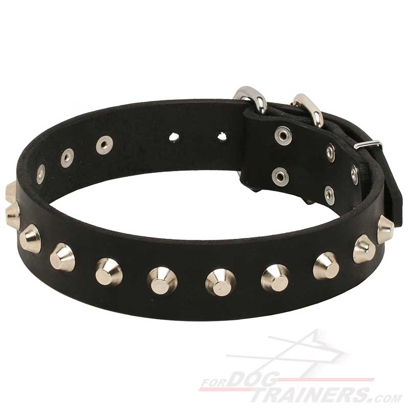 Shiny Leather Bullmastiff Collar with Nickel Plated Pyramids - Click Image to Close