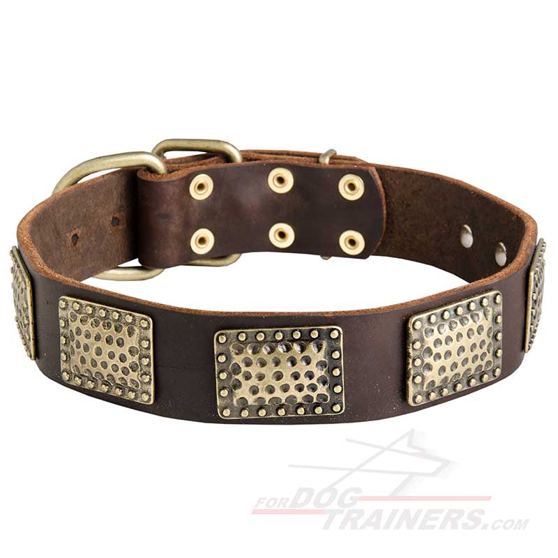 Stunning Leather Bullmastiff Collar with Vintage Plates
