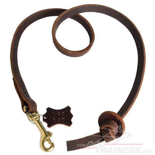 Pocket Leather Dog Leash for Bullmastiff Training