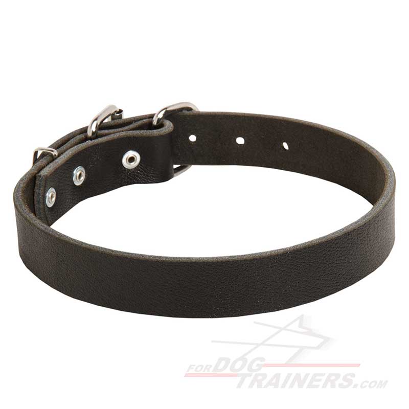 High Quality Leather Bullmastiff Collar