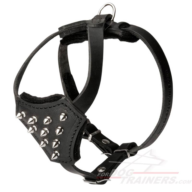 Small Leather Bullmastiff Harness with Spikes
