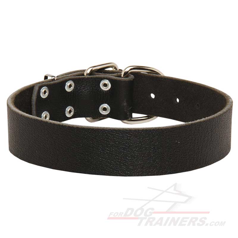 Top Quality Leather Bullmastiff Collar for Daily Activities